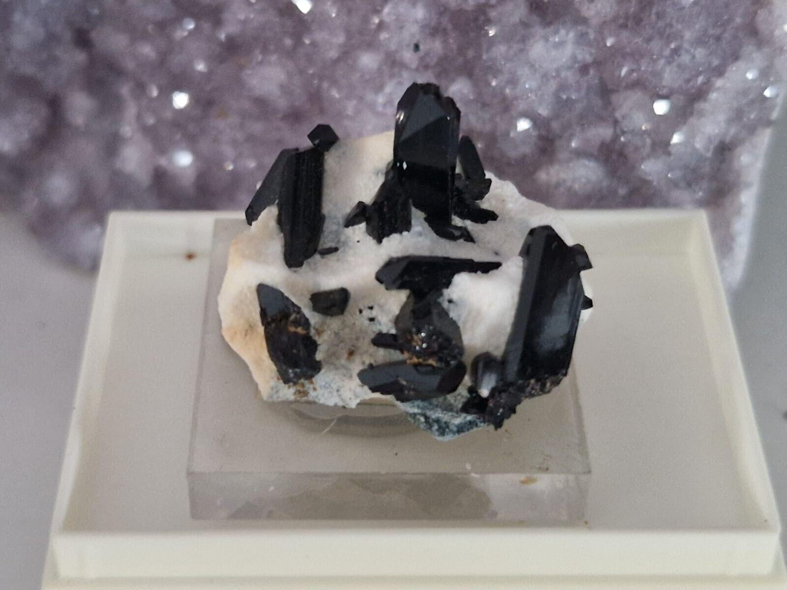 ULTRA SELTEN Benitoit, Neptunit, San Benito County, California, USA Mineralien